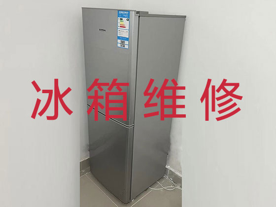 杭州专业电冰箱安装